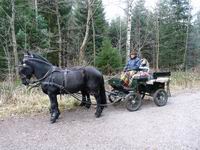 Kutschfahrt