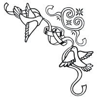 Tauben